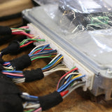 2GR DIY Swap Kit - Rat2