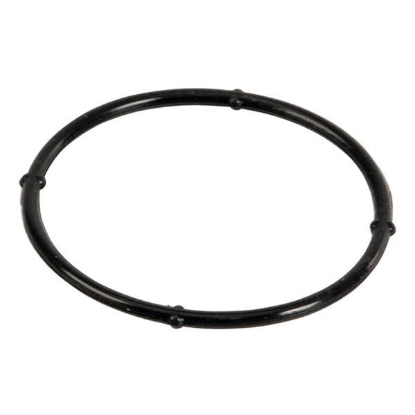 Thermostat Housing Gasket - 2GRFE 16325-31010