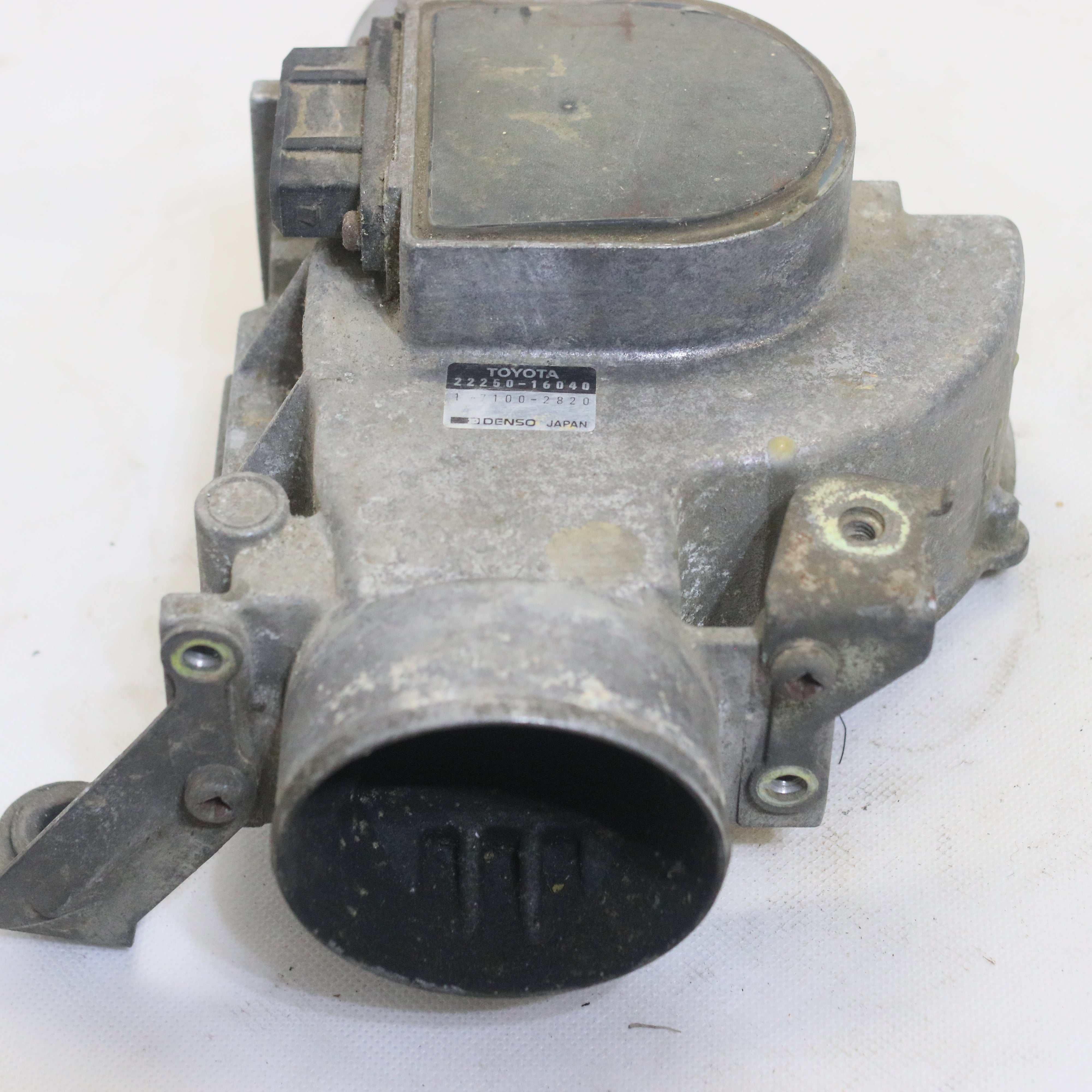 IMG_4532_4000x.jpg?v=1686871482